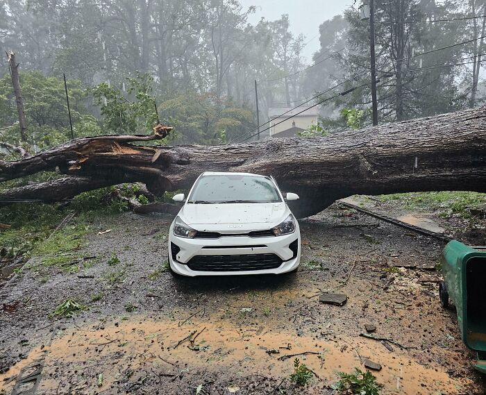 "Good Morning To You Too, Mother Nature"