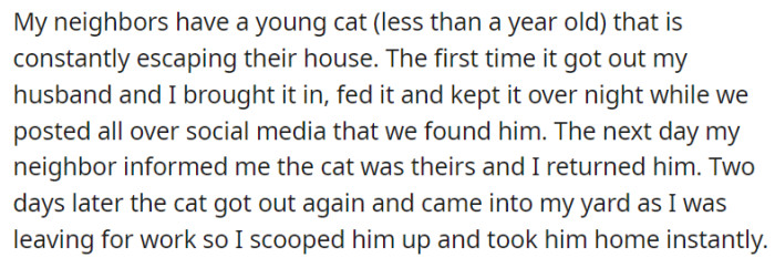 There's a young cat here that constantly escapes the neighbor's house. OP and her husband have taken care of it twice.