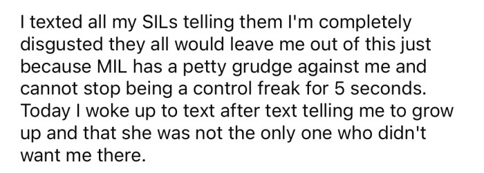 The OP began texting her SILs to tell them how 