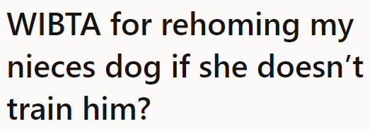 The OP is tired of caring for a problematic dog while she has a newborn and a niece to take care of.