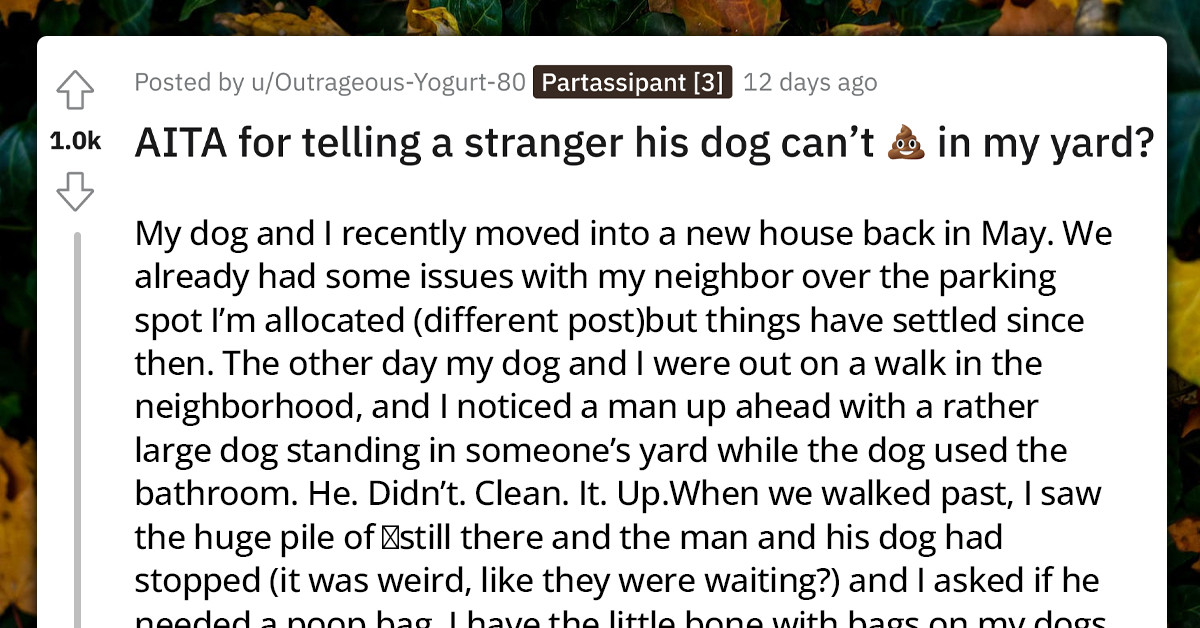 Redditor Challenges Stranger For Allowing His Dog Poop In Another Person's Yard