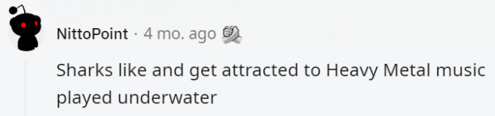 20. Are they fans of Metallica?