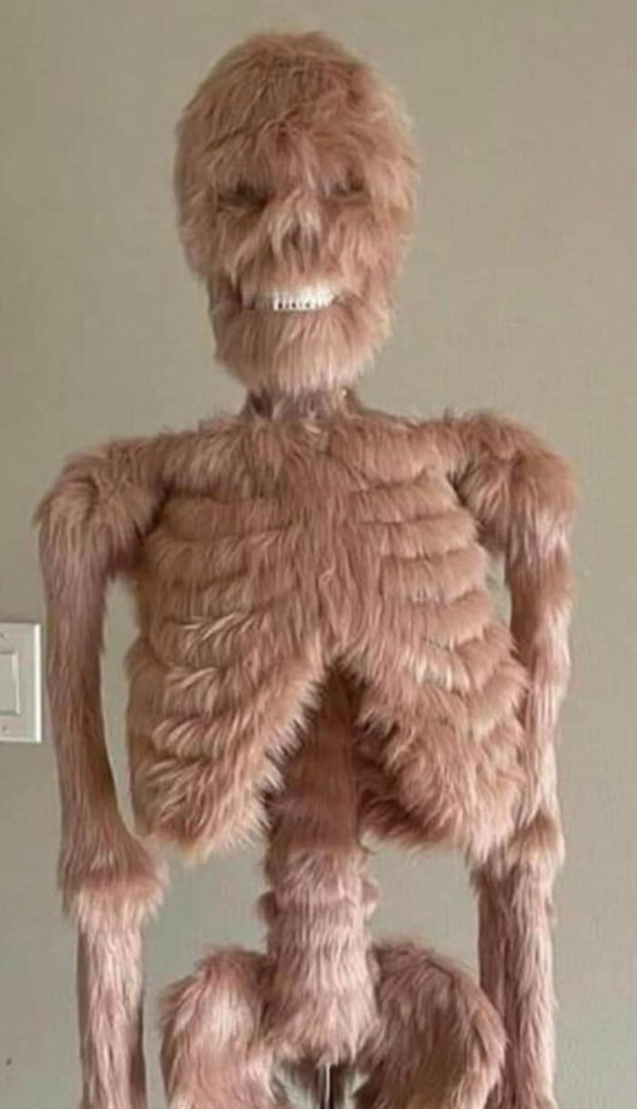 20. Kind of cute, maybe? Looks like they tried buying a DIY Chewbacca kit from Wish