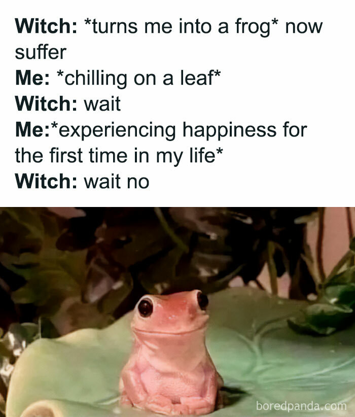 31. Who Knew Frog Life Was For Me?