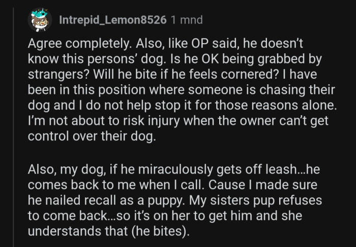 You can't know how a random dog would respond if a stranger was to approach them.