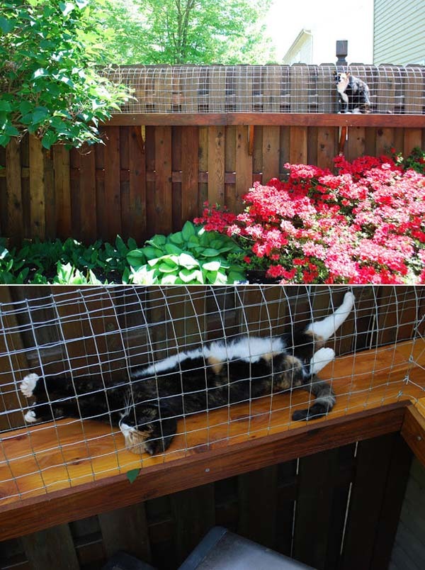 This is so cute for cat lovers who like to sunbathe.