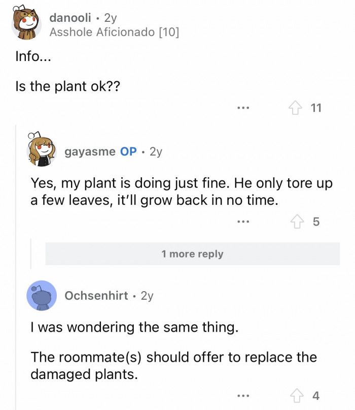 21. The plant will grow back in time, and the cat will fully recover soon.