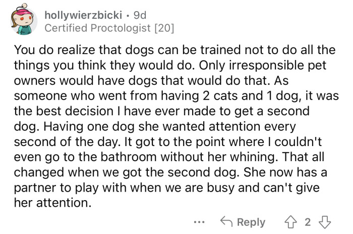 Two dogs can be better than just one.
