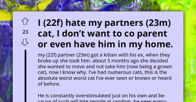 Woman Refuses To Live With Boyfriend’s Aggressive Cat After Being Scratched, Asks For Advice