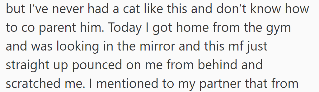 OP struggles to co-parent this unique cat; its unexpected behavior, like scratching, often baffles her.