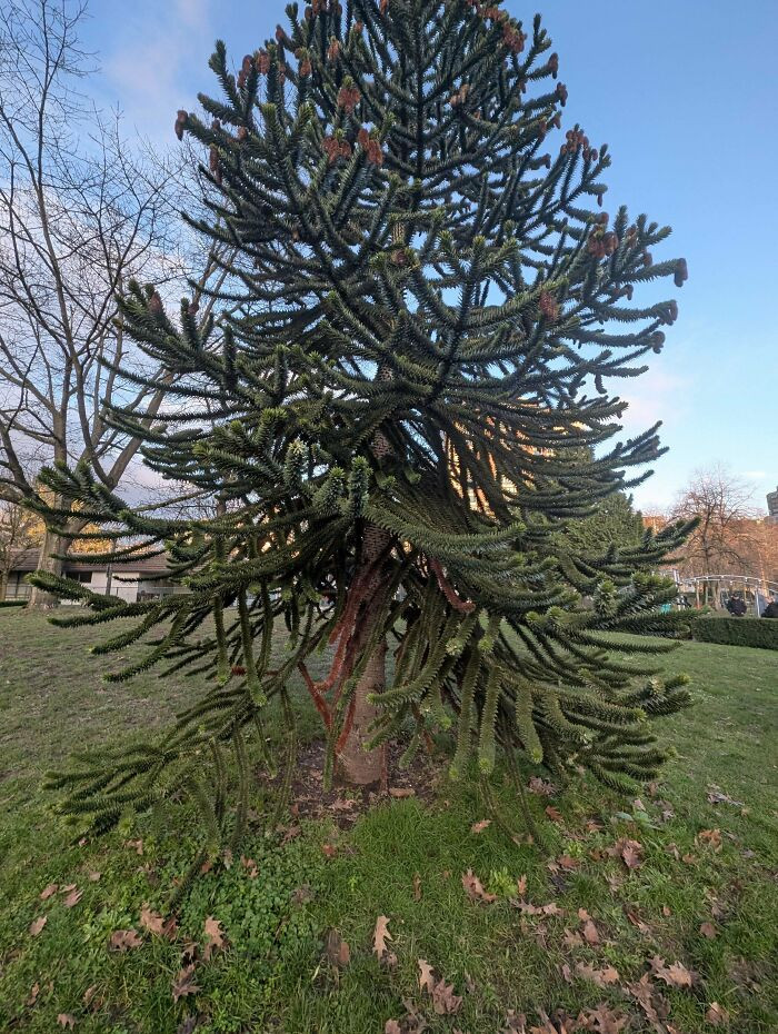 49. Found This On A Stroll In Vancouver