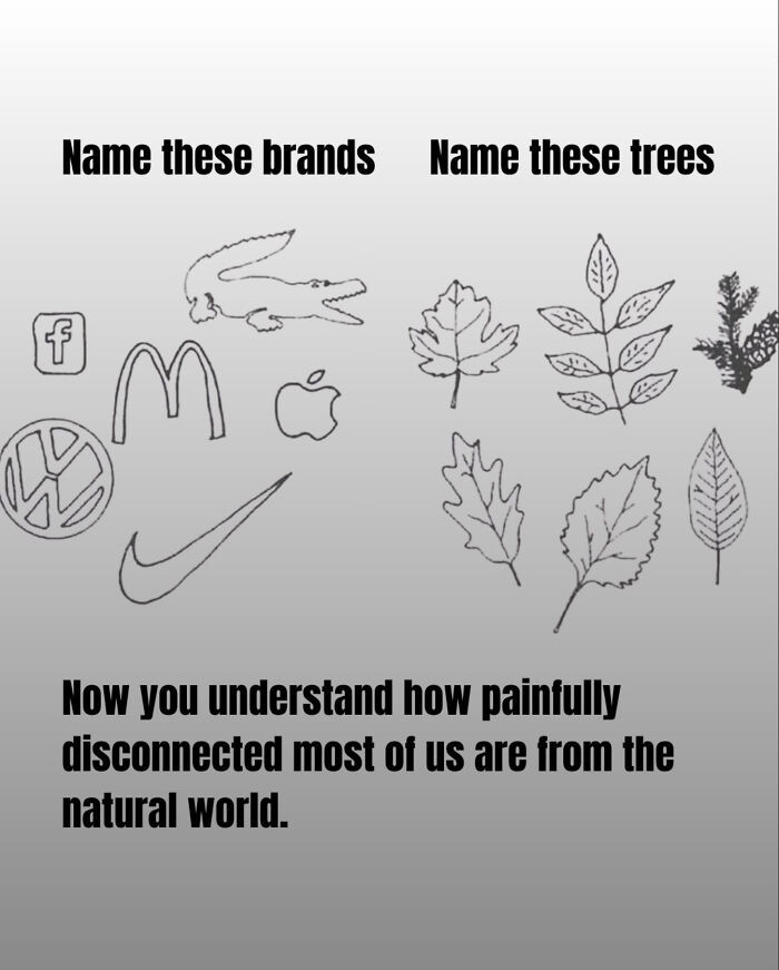 "Name Them"