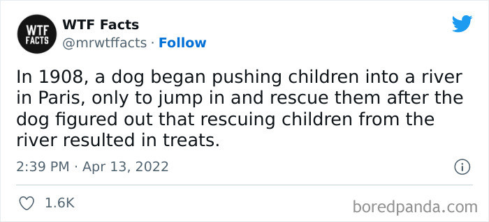 26. This dog goes to extremes just to get a treat