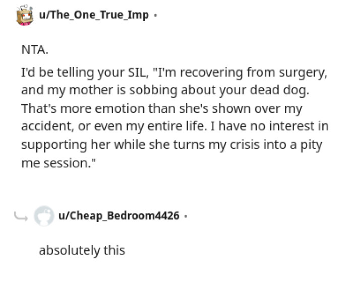 This Redditor pens down what the OP should reply to the sister-in-law