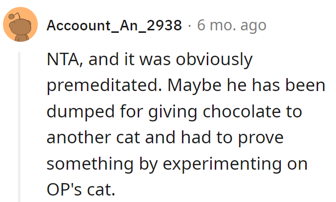 Brother, the aspiring Cat Chocolatier, strikes again. Perhaps he's on a mission to break up with feline friends.