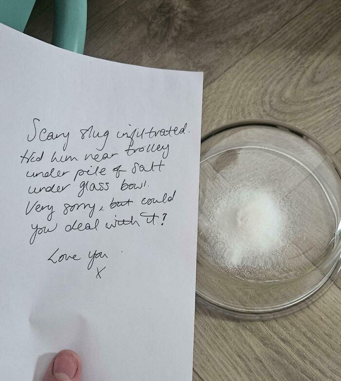 "Wife Is Terrified Of Slugs, Woke To This Note"