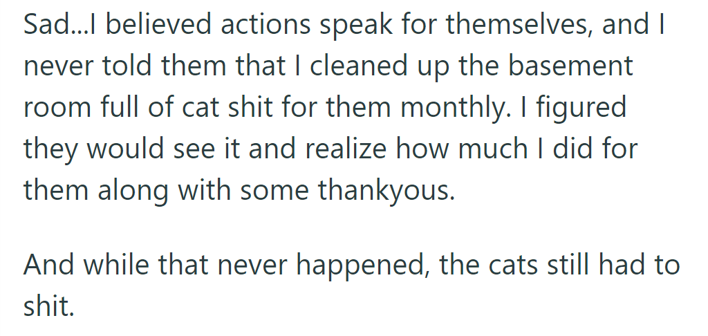 OP cleaned the cat-filled basement monthly, expecting gratitude, but his actions went unnoticed amid ongoing chaos.