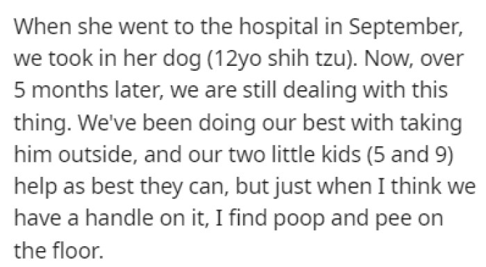 After the mother-in-law's recent hospital trip, OP and their spouse took in her 12-year-old Shih Tzu