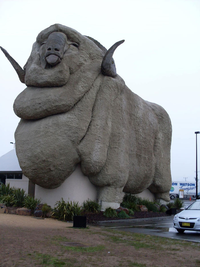 29. That has got to be one of the worst Merinos out there