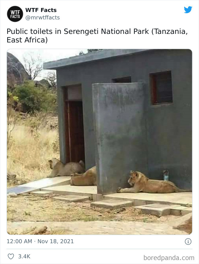 45. I'm not going near that toilet