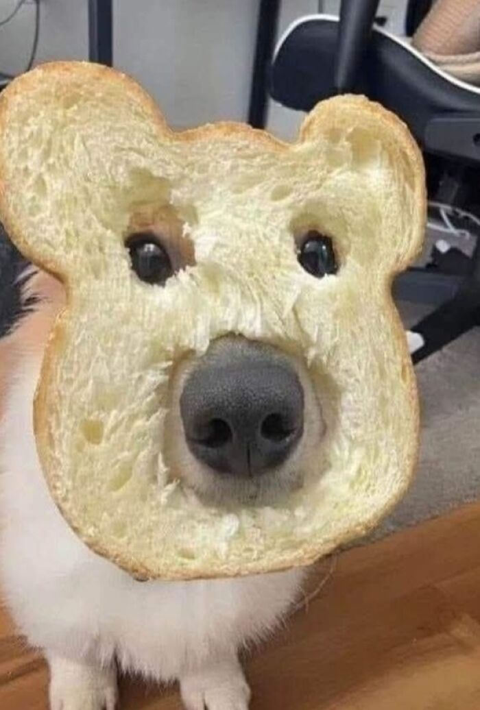 21. When you’re out of costume ideas but still committed