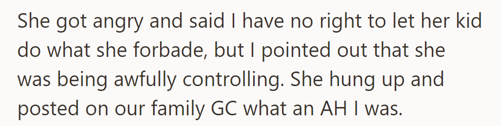 OP gets accused of overstepping. OP calls out sister's control. Sister posts on family chat, labeling OP an AH.