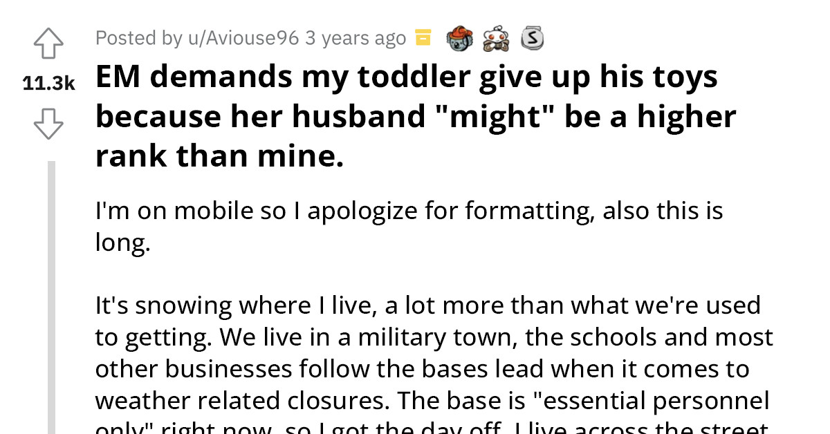 Entitled Mother Demands That Redditor's Son Give His Toy To Her Child Because Her Husband Has A Higher Rank