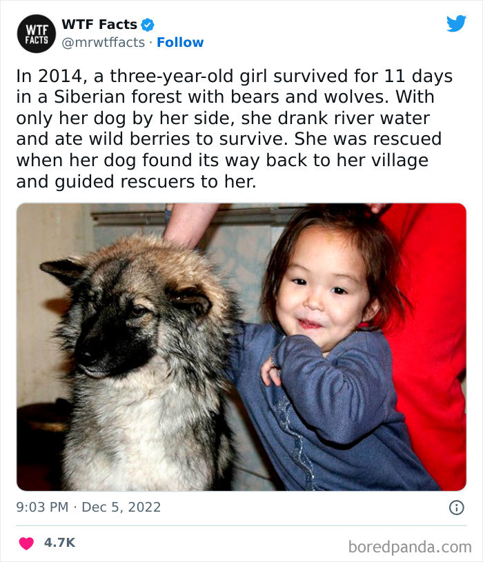 29. 11 Days in the Forest