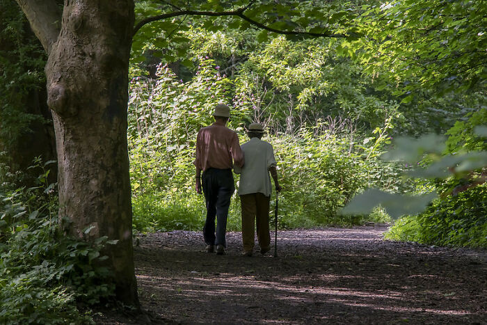 4. That Adults Are Mature People