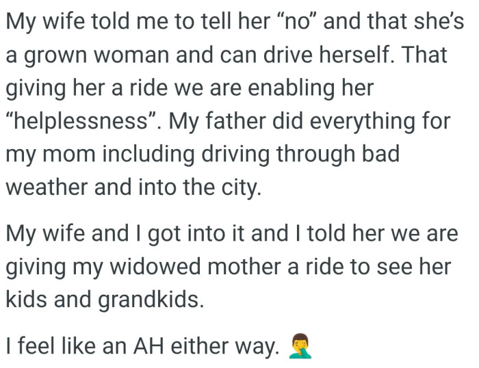 The OP told his wife that they would give his widowed mother a ride to see her kids and grandkids