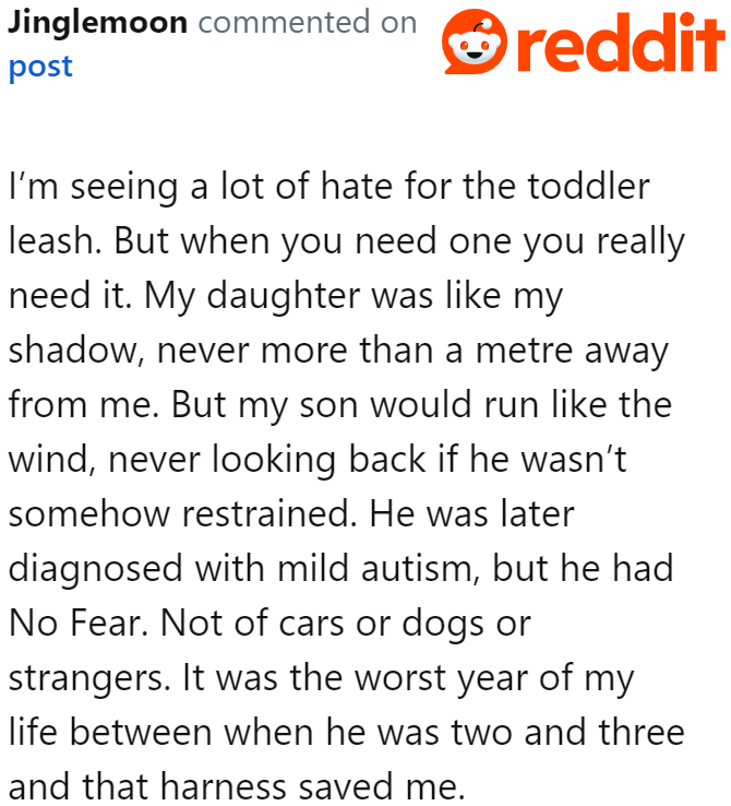 Some people also started giving their opinions about child leashes.