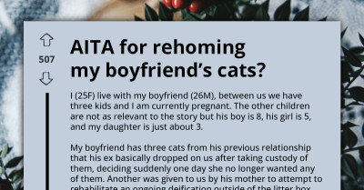 Pregnant Lady Reaches Breaking Point As She Shares How BF's Cats Are Driving Her Crazy