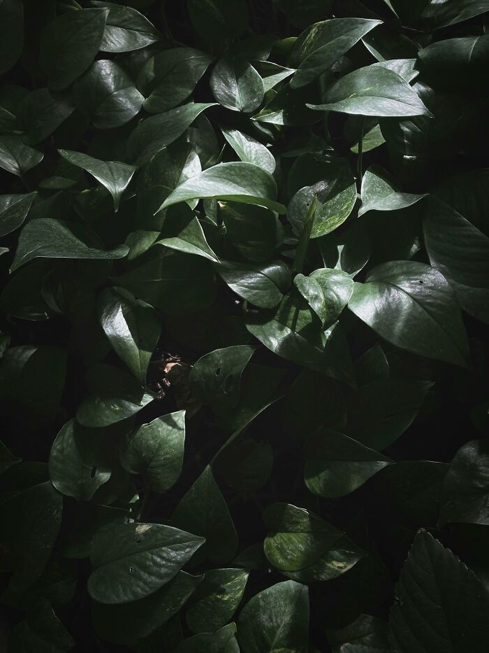 17. Change your phone background.