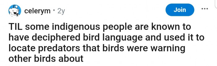 It's fascinating to know that there are humans who can understand bird language