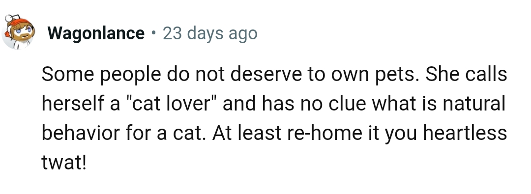 The Owner Has No Clue About What's Natural for a Cat