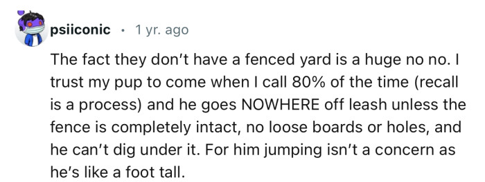 “The fact they don’t have a fenced yard is a huge no-no.”