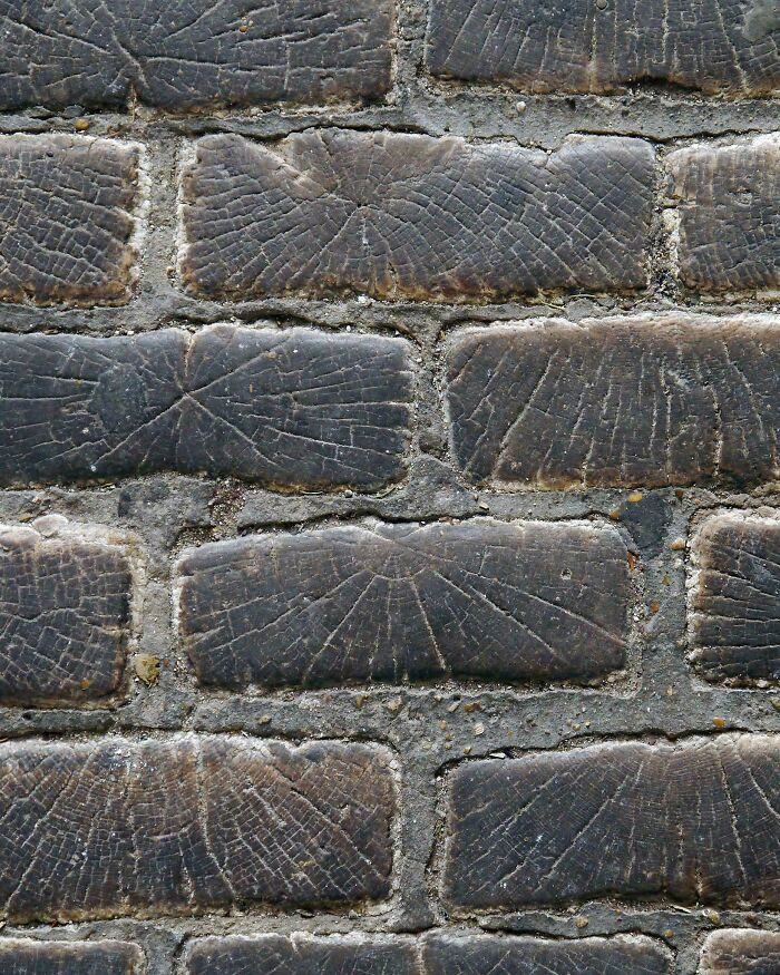 "When Paris Was Paved With Wooden 'Cobblestones'"