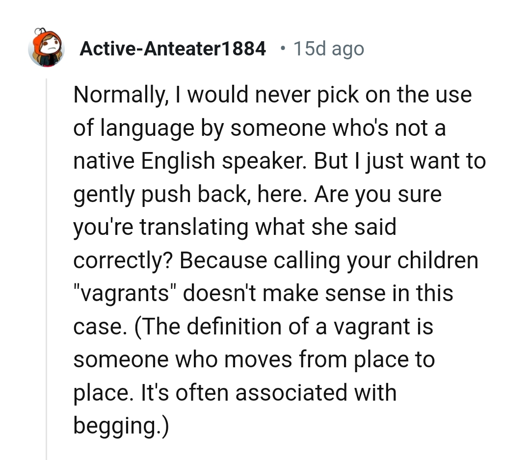 This Redditor wants to know if the OP is translating what the sister said correctly