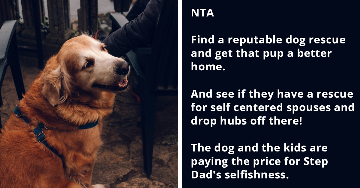 Woman Argues With Husband As The Family Agreed To Get A Golden Retriever, But He Brought Home A Heeler Instead