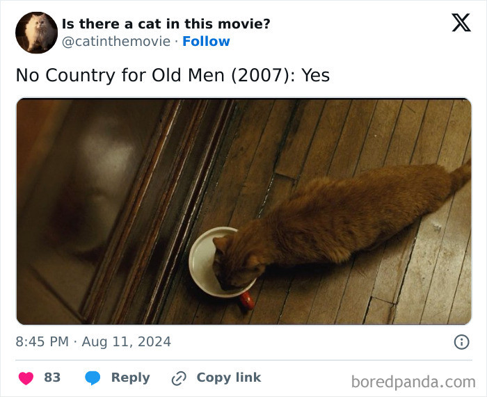 No Country for Old Men