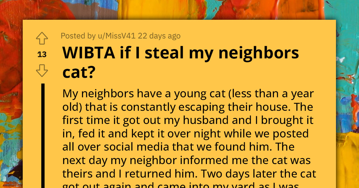 Redditor Considers "Stealing" Their Neighbor's Cat Since It Always Escapes to Go to Their House for Food, Asks If They Would Be an A-Hole for Doing So