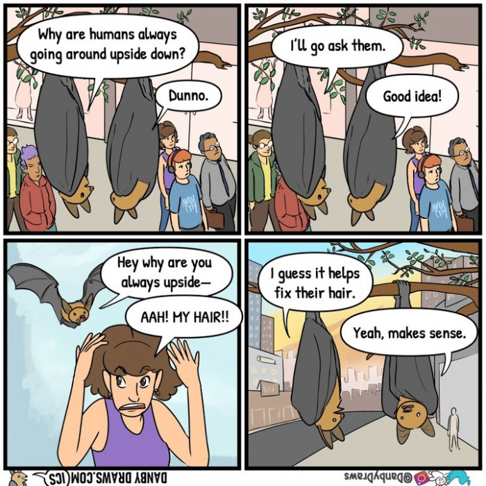 15. The bats just wanted to know the answer to their question.