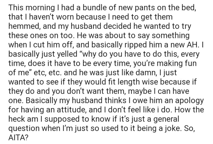 Recently, OP's husband approached her with his regular antics, but this time, she ripped into him