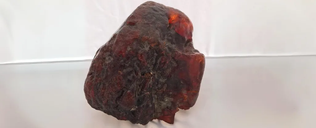 Rock has been used as a doorstop for years. It was found to be worth over $1 million.