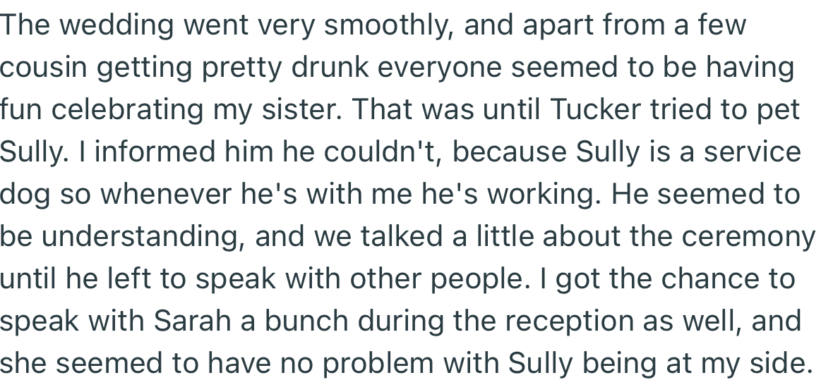 OP’s sister’s husband, Tucker, tried petting the service dog, which OP rejected to avoid distracting the dog