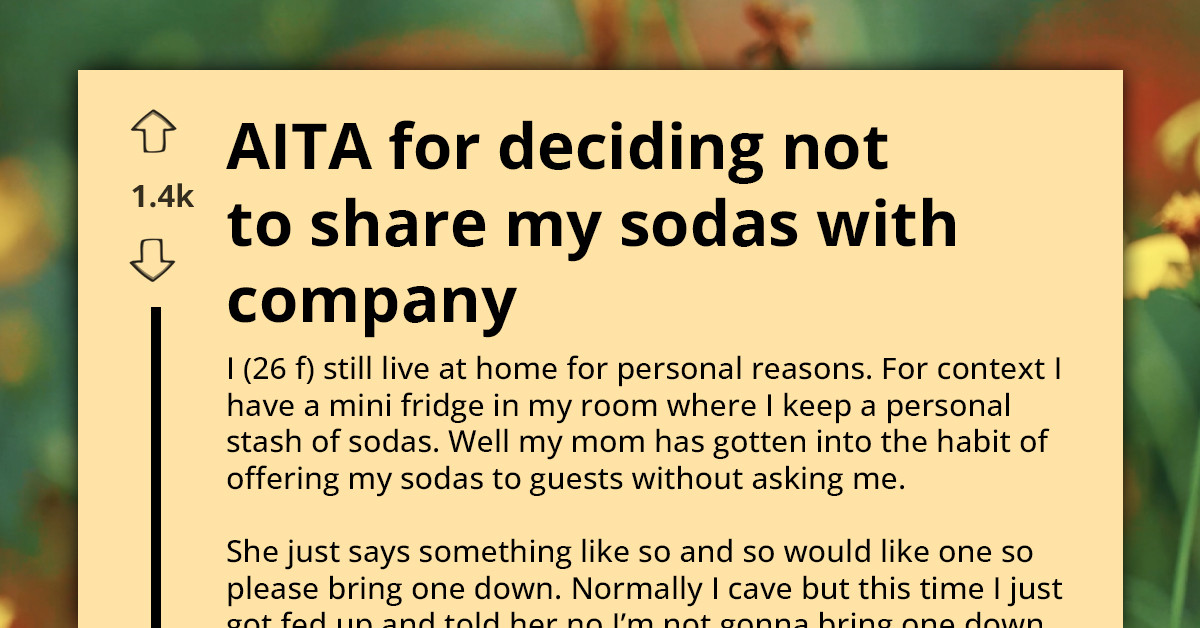 Her Mom Keeps Offering Guests Sodas From Her Personal Mini Fridge—So She Finally Said No