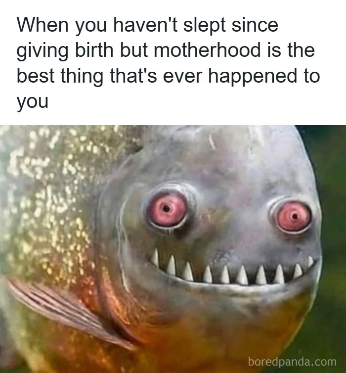 34. “Running on love, caffeine, and the faint memory of sleep.”