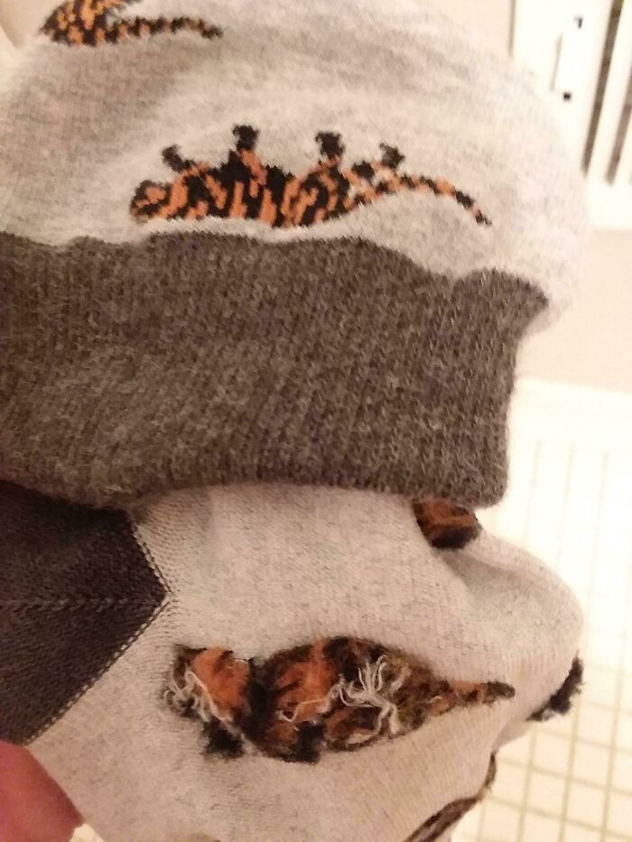12. When turned inside out, the tigers depicted on the socks appear to resemble domestic house cats.