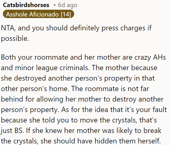 The roommate and her mother are at fault for damaging OP's property, and she should consider pressing charges.