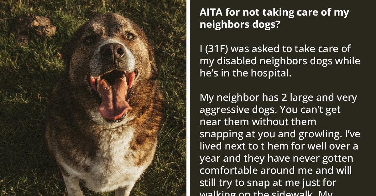 Entitled Man Asks His Neighbors To Take Care Of His Aggressive Dogs While He Is In A Hospital, Gets Annoyed Over Their Refusal
